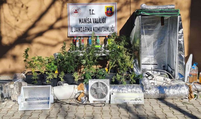 Evinde Uyuşturucu Yetiştirip Turizm Bölgelerine Satan Şüpheli Yakalandı