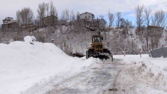 Muş’ta Kar Yağışı Nedeniyle 109 Köy Yolu Ulaşıma Kapandı