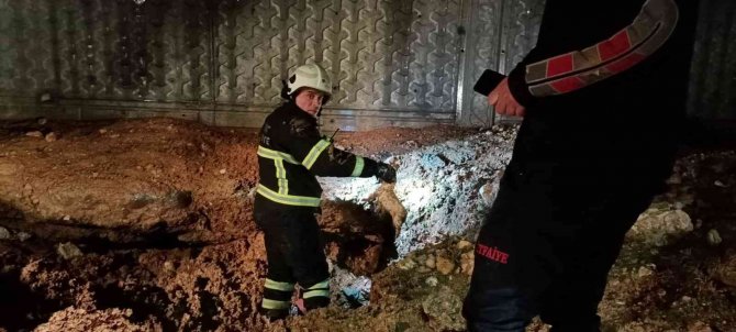 Siirt’te Çukura Düşen Köpek Ve 13 Yavrusu Kurtarıldı