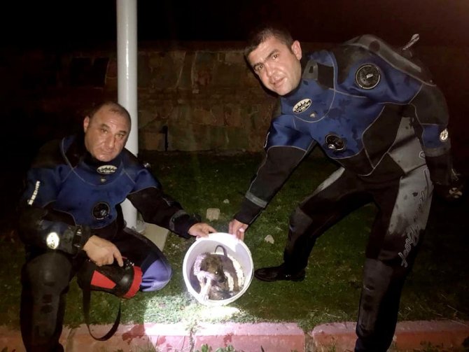 Tarihi Hamama Düşen 2 Yavru Köpeği Afad Ekipleri Kurtardı
