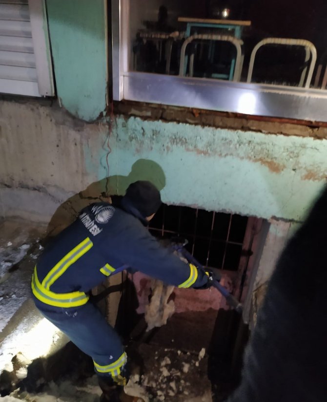 Kafası Demir Korkuluklara Sıkışan Köpek Kurtarıldı