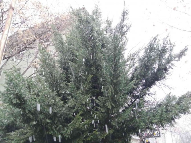 Başkent’te Kar Ve Sis Aynı Anda Bir Arada