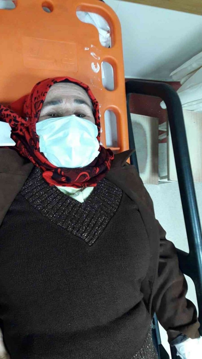Aydın’da Sokak Köpekleri Yaşlı Kadını Hastanelik Etti