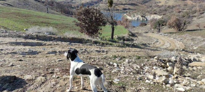Gölette Aranan Avcı, Konya’daki Asker Arkadaşının Yanından Çıktı