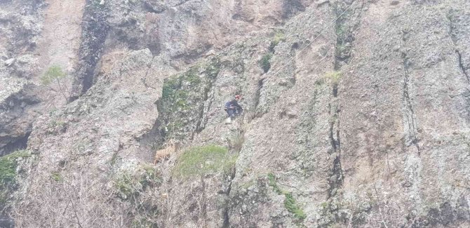 İ̇zmir’de Jandarmadan Yürek Isıtan Kurtarma Operasyonu