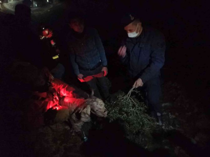 İ̇zmir’de Jandarmadan Yürek Isıtan Kurtarma Operasyonu