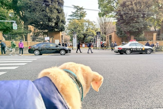 Japonya’da Üniversite Sınavı Gününde Bıçaklı Saldırı: 3 Yaralı
