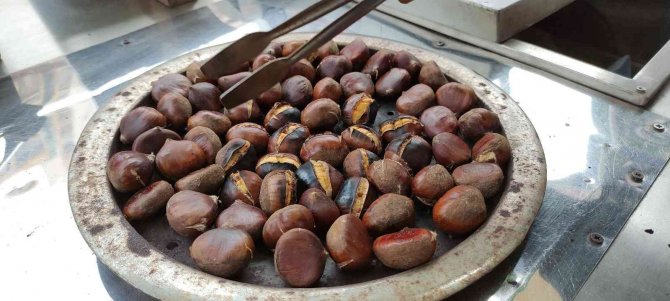 Seyyar Satıcı Yabancı Dil Öğrendi, İşleri Açıldı