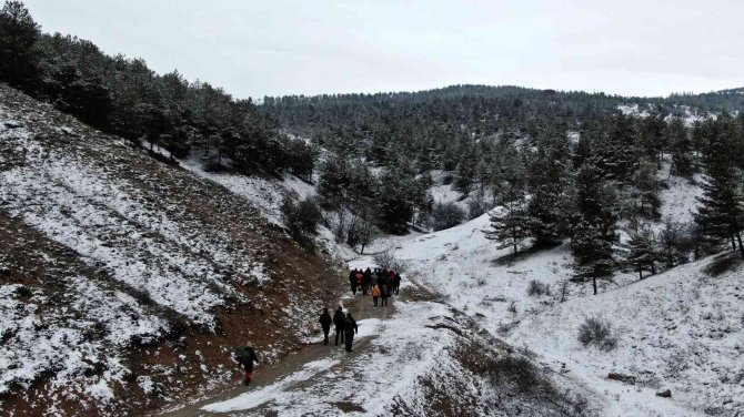 Başkan Yaban Hayvanlarını Unutmadı, Kendi Eliyle Doğaya Yem Bıraktı