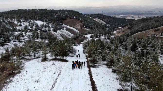 Başkan Yaban Hayvanlarını Unutmadı, Kendi Eliyle Doğaya Yem Bıraktı