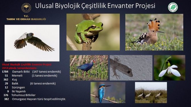 154 Endemik Bitki Ve Hayvan Türü Tespit Edildi