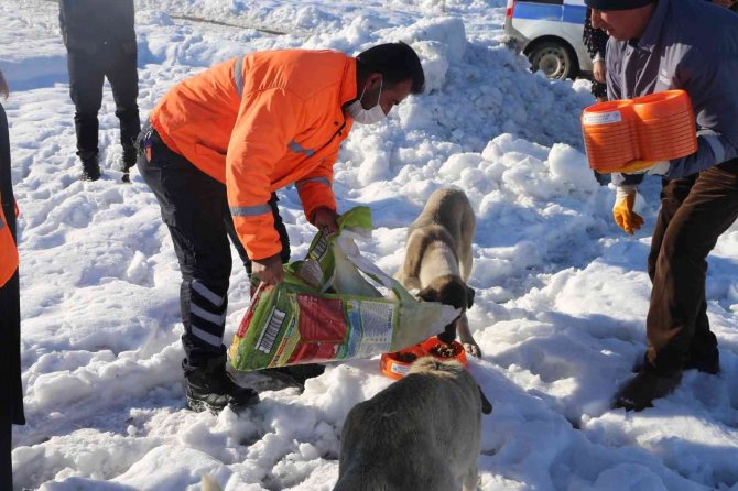 Varto’da Sokak Hayvanları İçin Beslenme Alanları Oluşturuldu
