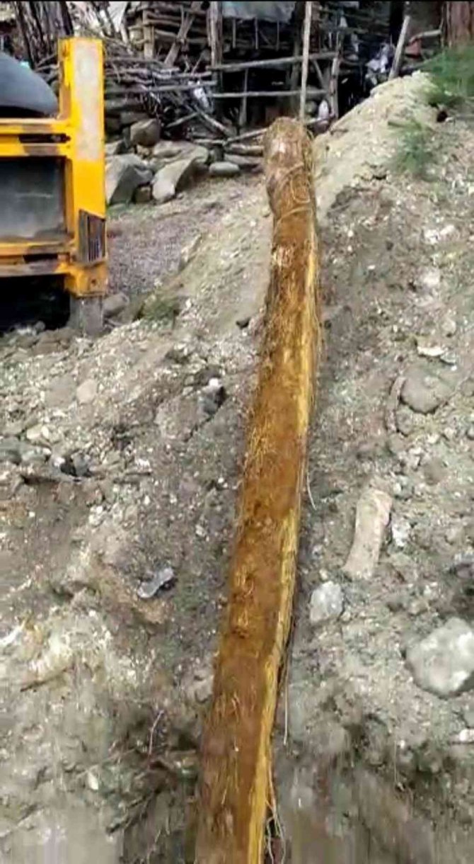 Su Borusundan Çıkan Kök Görenleri Şaşırttı