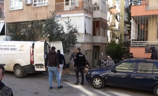 Antalya’da 2 Pitbullun Saldırısına Uğrayarak Ölümden Dönen Kadın: “Gitti Geldi Tekrar Isırdı”
