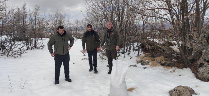 Bingöl’de Yaban Hayvanları İçin Doğaya Yem Bırakıldı