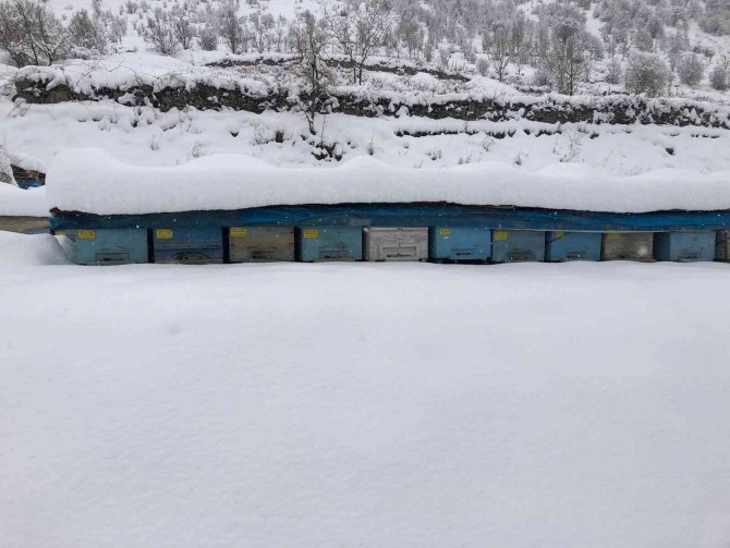 Şırnak’ta Kar Kalınlığı 2 Metreyi Buldu: 26 Köy, 11 Mezra Yolu Ulaşıma Kapandı