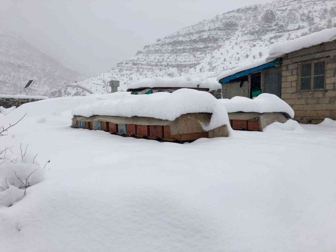 Şırnak’ta Kar Kalınlığı 2 Metreyi Buldu: 26 Köy, 11 Mezra Yolu Ulaşıma Kapandı