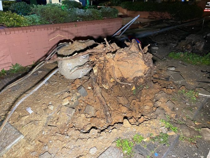 Kadıköy’de Makas Atan Otomobil Ağaç Ve Sokak Lambasına Çarptıktan Sonra Takla Attı