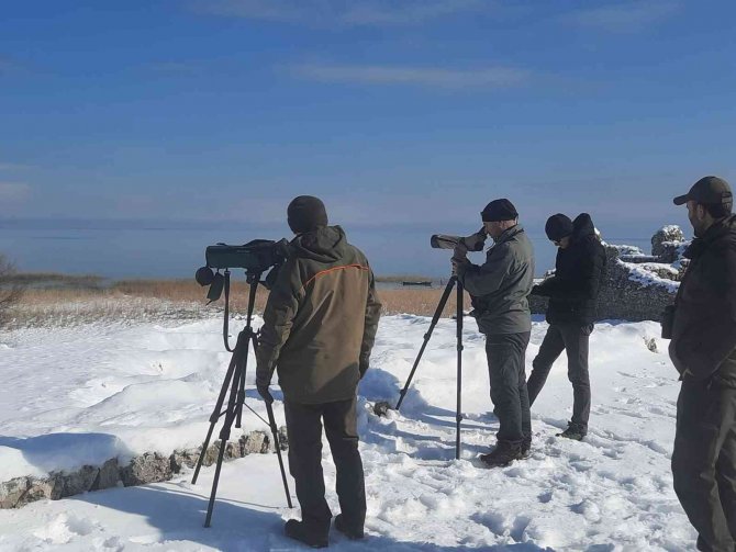 Kuş Cenneti Beyşehir Gölü’nde 2022 Yılı Kosks Çalışmaları Sona Erdi