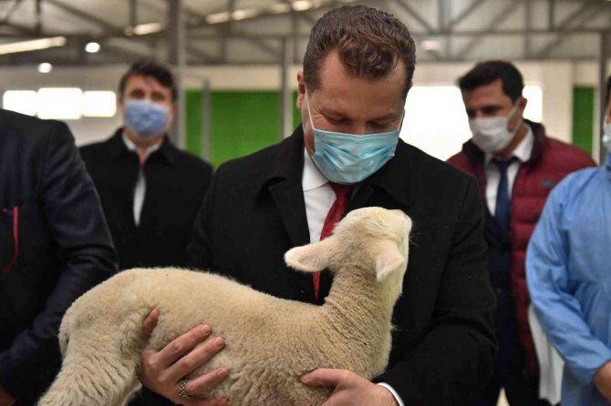 Balıkesir Büyükşehir Belediyesi’nden Üreticiye 15 Milyon Destek