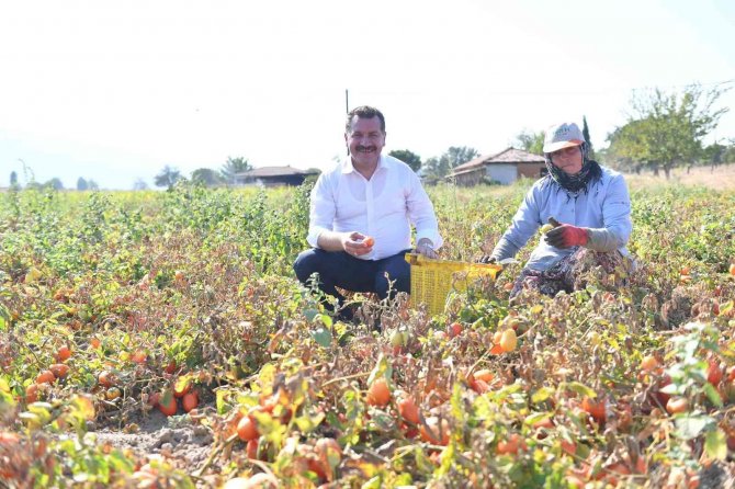 Balıkesir Büyükşehir Belediyesi’nden Üreticiye 15 Milyon Destek