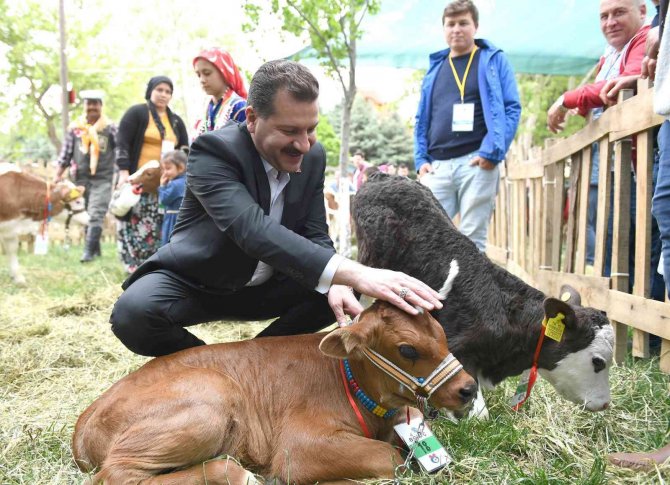 Balıkesir Büyükşehir Belediyesi’nden Üreticiye 15 Milyon Destek