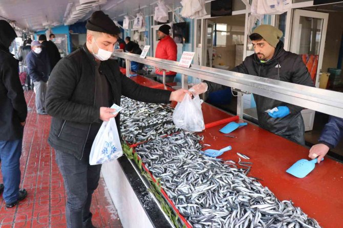 Bolu’da Hamsi Fiyatları 50 Liraya Kadar Çıktı