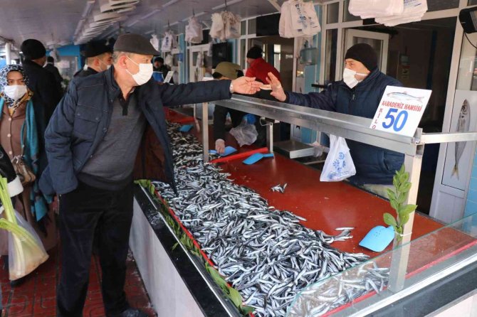 Bolu’da Hamsi Fiyatları 50 Liraya Kadar Çıktı