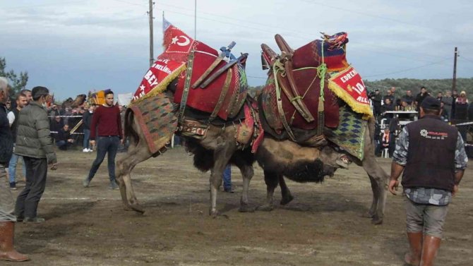 Burhaniye’de Festival Hazırlıkları Tamamlandı