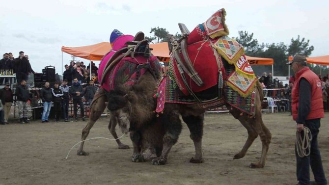 Burhaniye’de Festival Hazırlıkları Tamamlandı