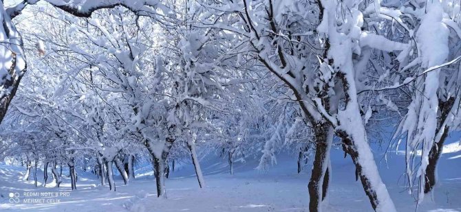 Meteorolojiden Batman Ve Çevre İleri İçin Kar Uyarısı Geldi