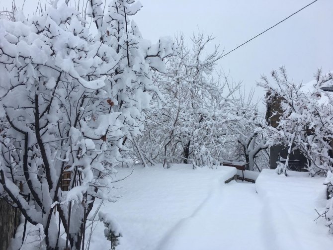 Çukurca’da Okullar Tatil Edildi