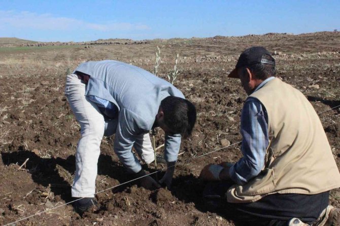 Kilis’te Çiftçiye Fidan Desteği