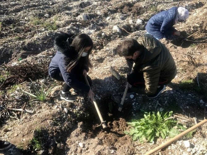 My Kolej Öğrencileri Fidan Dikim Etkinliğine Katıldı
