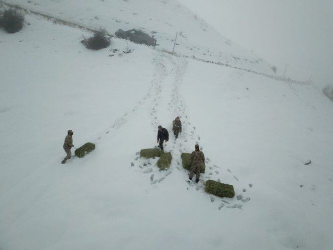 Tunceli’de Yaban Hayvanları İçin Doğaya Yem Bırakıldı