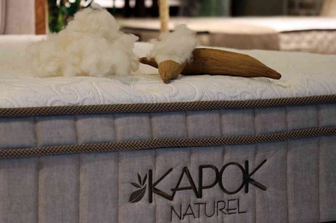 Tropik Yağmur Ormanlarından Gelen Doğallık Bambi Yatak İle Buluştu