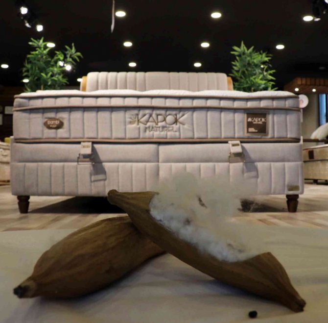 Tropik Yağmur Ormanlarından Gelen Doğallık Bambi Yatak İle Buluştu