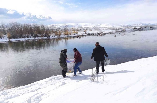 Van’da Yaban Hayvanları İçin Doğaya Yem Bırakıldı