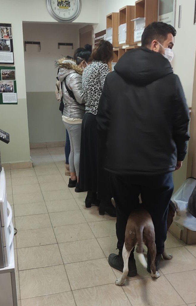 Tepebaşı’nda 7 Ayda Bin 123 Köpek Kayıt Altına Alındı