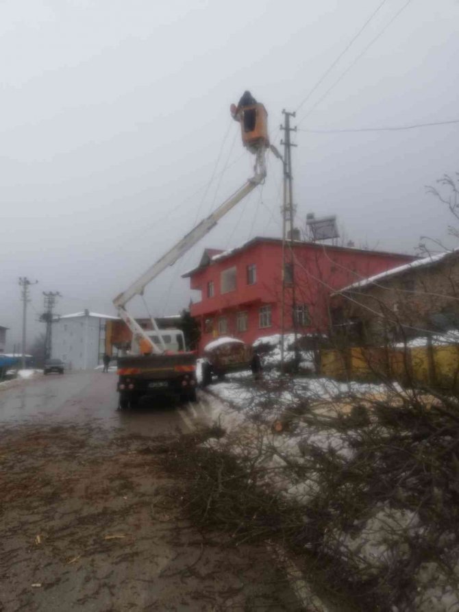 Samsun’da Fırtına Ağaçları Devirdi