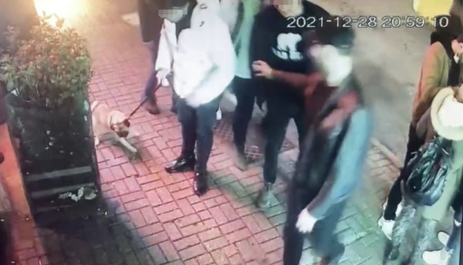 “Gorbi” İsimli Köpeği Çalan Hırsızları Beşiktaş Polisi Yakaladı: Köpek 4 Farklı Şahsa Satılmış
