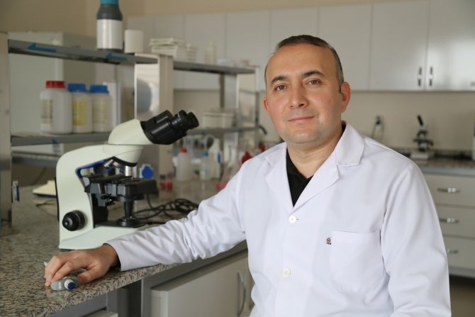 Malaklı Köpekleri Bilimsel Bir Disiplin İçinde Araştırılacak