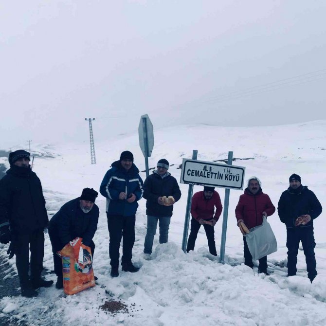 Gezginler Bu Kez Sokak Hayvanları İçin Yürüdüler