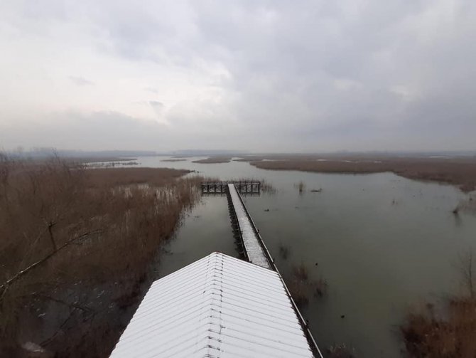 Efteni Gölü’nde Kuş Sayımı Yapıldı