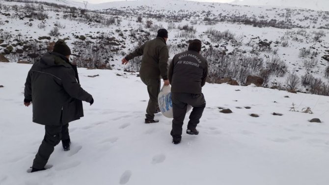 Elazığ’da Yaban Hayvanları İçin Doğaya Yem Bırakıldı
