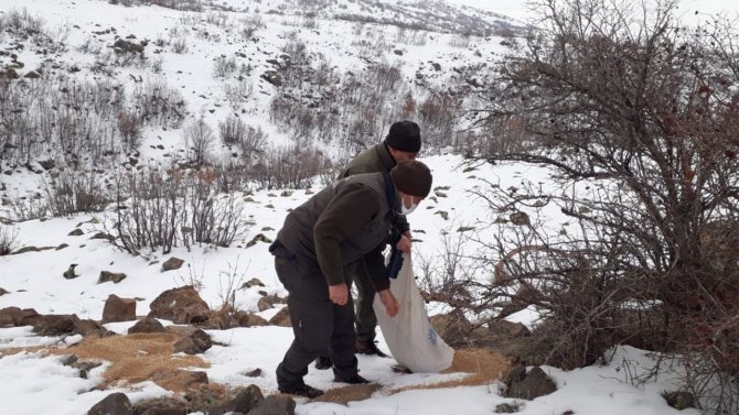 Elazığ’da Yaban Hayvanları İçin Doğaya Yem Bırakıldı