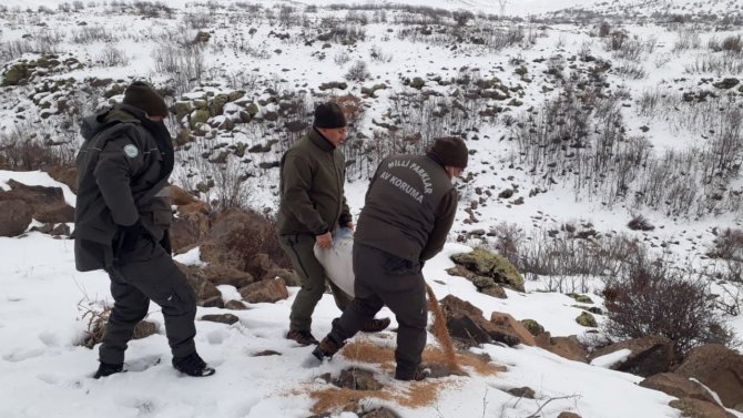 Elazığ’da Yaban Hayvanları İçin Doğaya Yem Bırakıldı