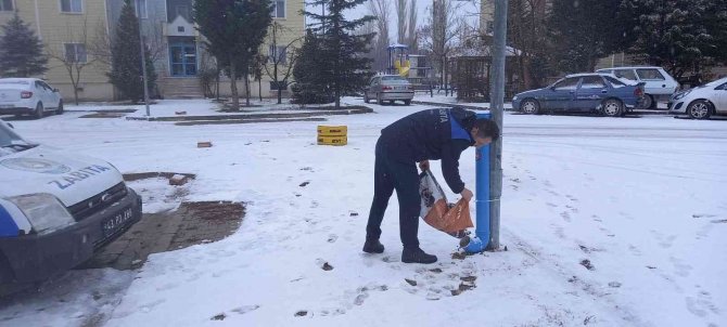 Hisarcık Belediyesi Sokak Hayvanlarını Unutmadı