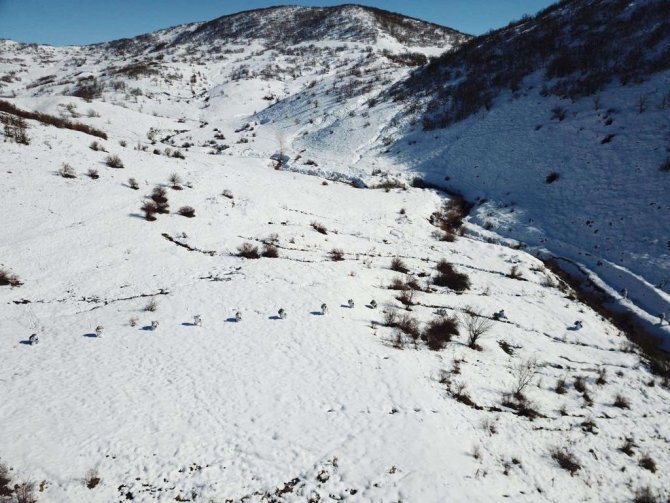 İ̇çişleri Bakanlığınca ’Eren Kış-16 Bingöl-sağgöze Şehit Jandarma Binbaşı Adil Karagöz Operasyonu’ Başlatıldı