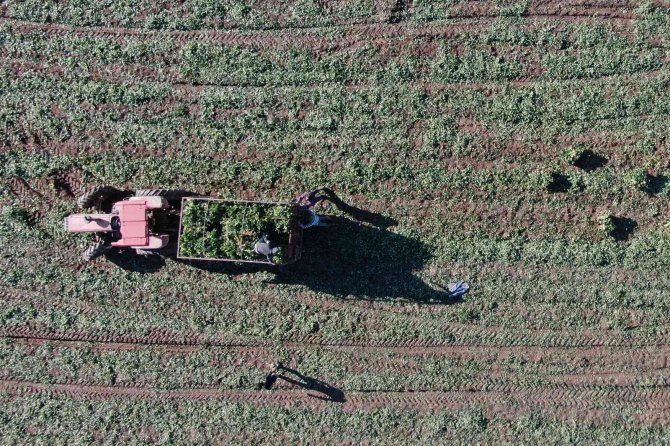 Üreten, Satan Değil Komisyoncu Kazanıyor